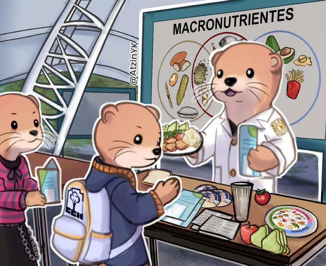 Ilustración nutritiva I